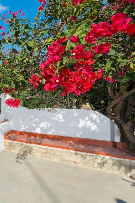 Greek Style Ground Floor Apartment & Pool 伊利索斯 外观 照片