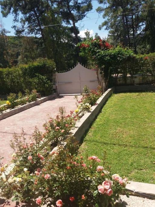 Greek Style Ground Floor Apartment & Pool 伊利索斯 外观 照片