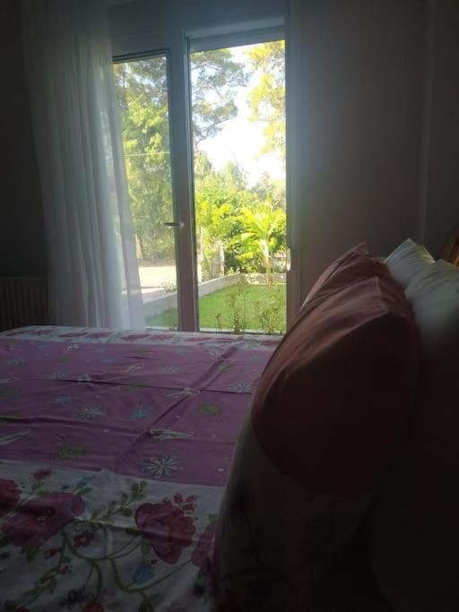 Greek Style Ground Floor Apartment & Pool 伊利索斯 外观 照片