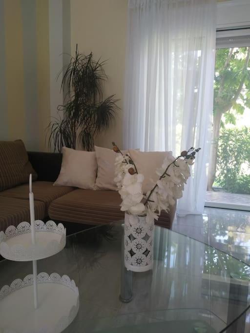 Greek Style Ground Floor Apartment & Pool 伊利索斯 外观 照片