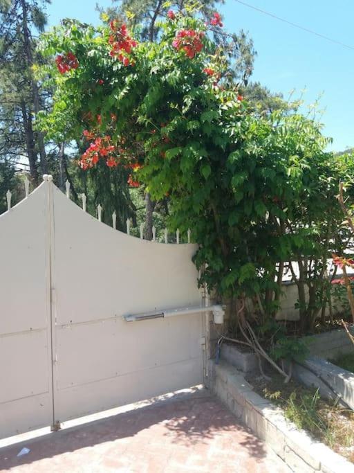 Greek Style Ground Floor Apartment & Pool 伊利索斯 外观 照片